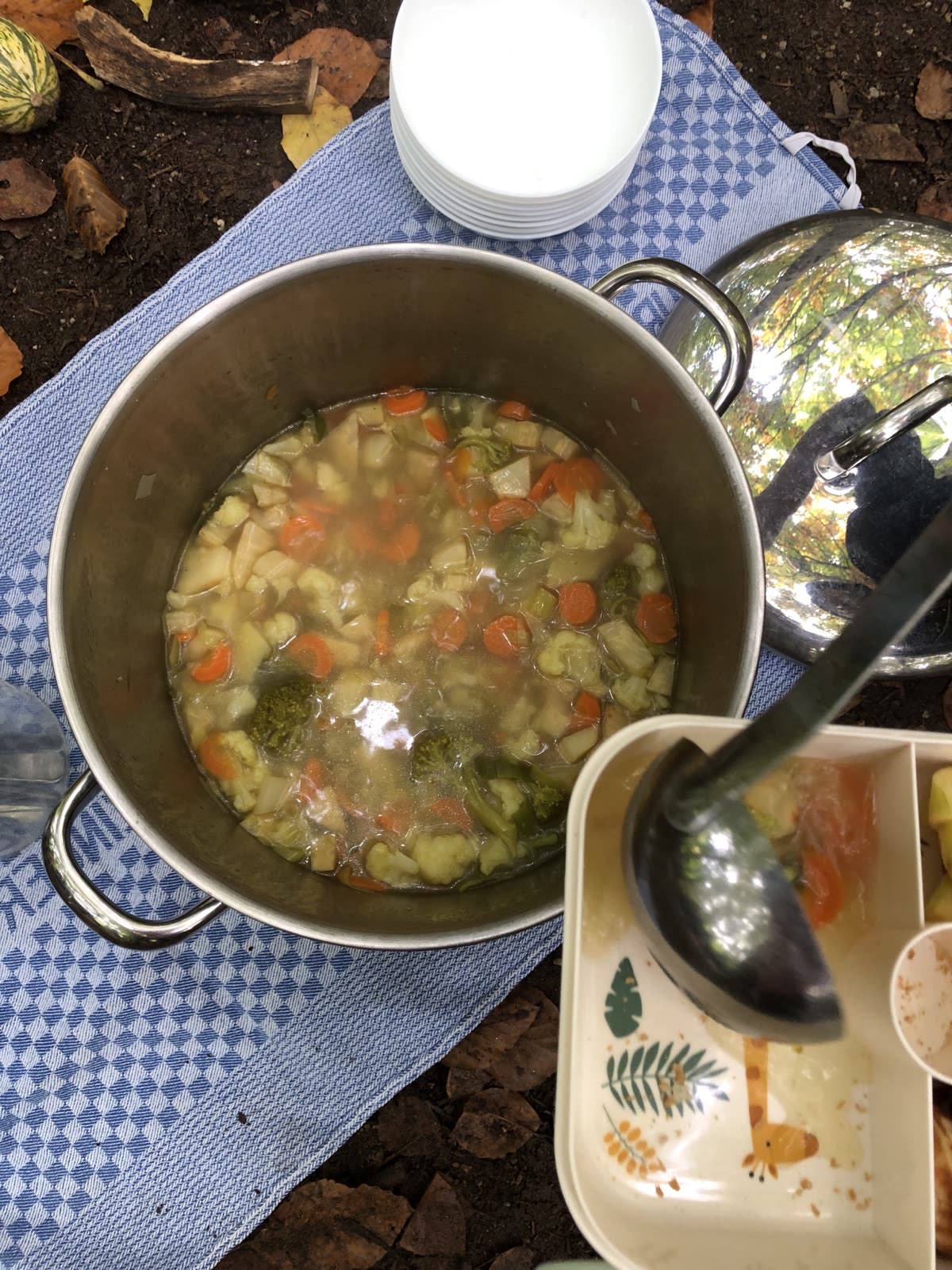 Gemüsesuppe im Topf auf dem Gaskocher