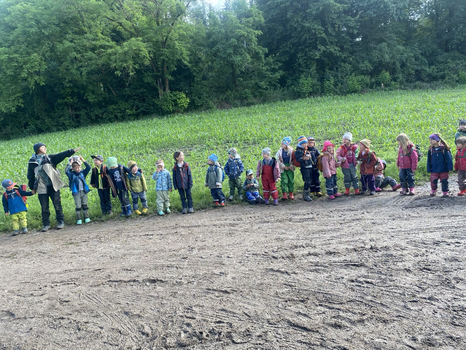 Die Gruppe geht morgens gemeinsam über den Feldweg zum Wald